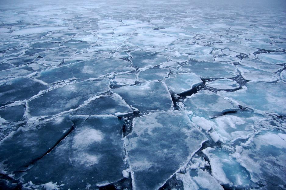 Báo động băng tan ở Bắc Cực trở thành nguồn nguy cơ lớn trên toàn cầu