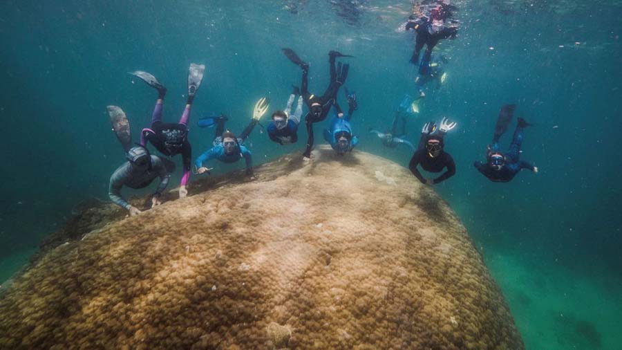 Đặc điểm rặng san hô Muga dhambi