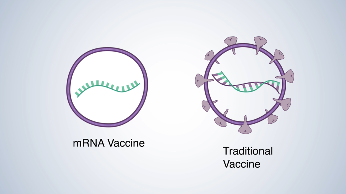 Phát triển vaccine ngừa Covid 19 từ công nghệ mRNA